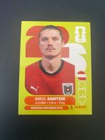 Panini FIFA World Cup Sticker AUT 11